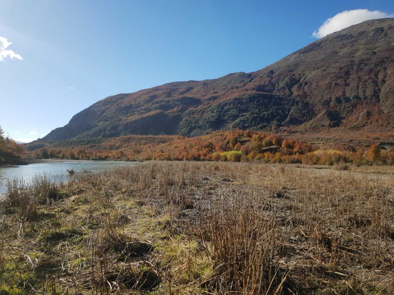 Venta Terreno Cochrane - Aysén