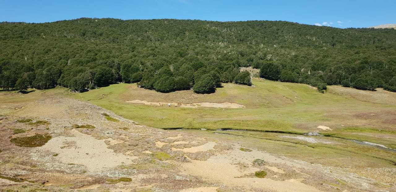 Venta Terreno Chile Chico - Aysén