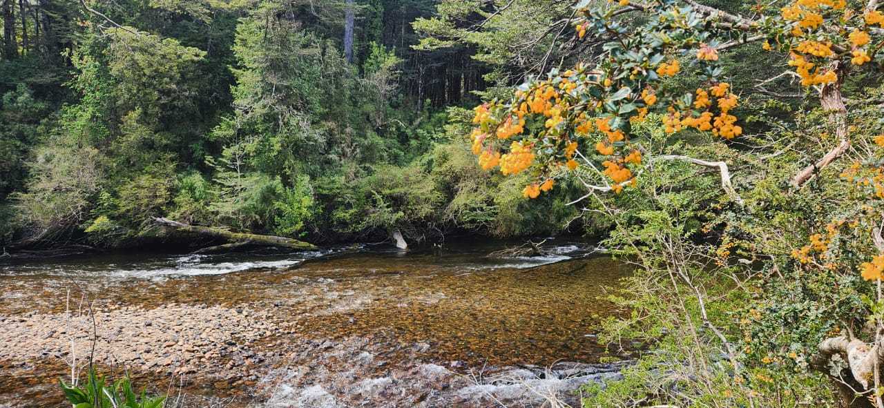 Venta Terreno Aysén - Aysén