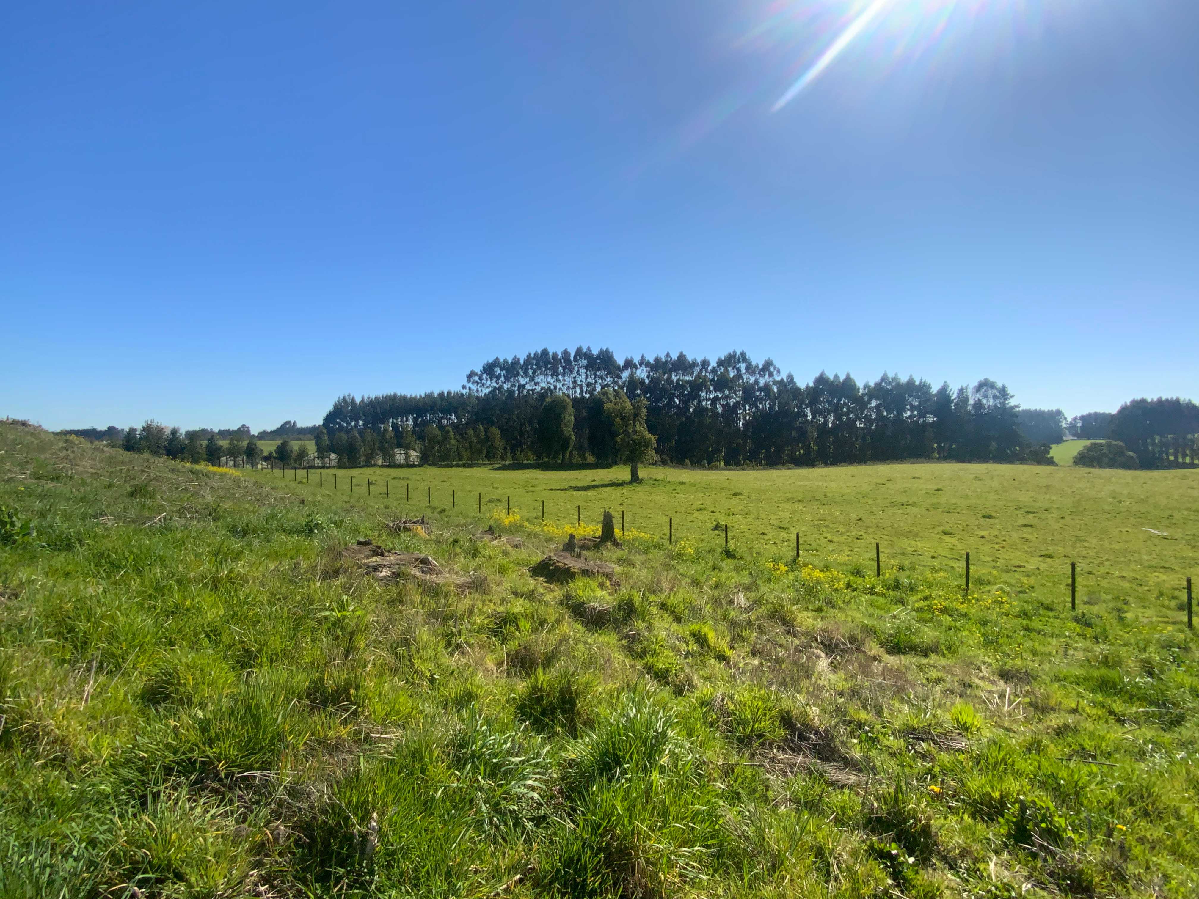 Venta Parcela Frutillar - Los Lagos