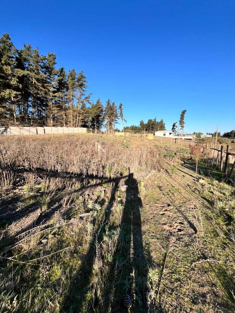 Venta Sitio Viña del Mar - Valparaíso