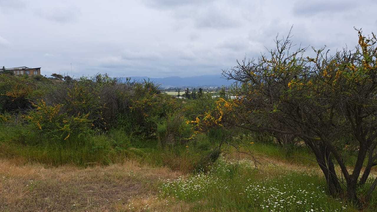 Venta Sitio Quillota - Valparaíso