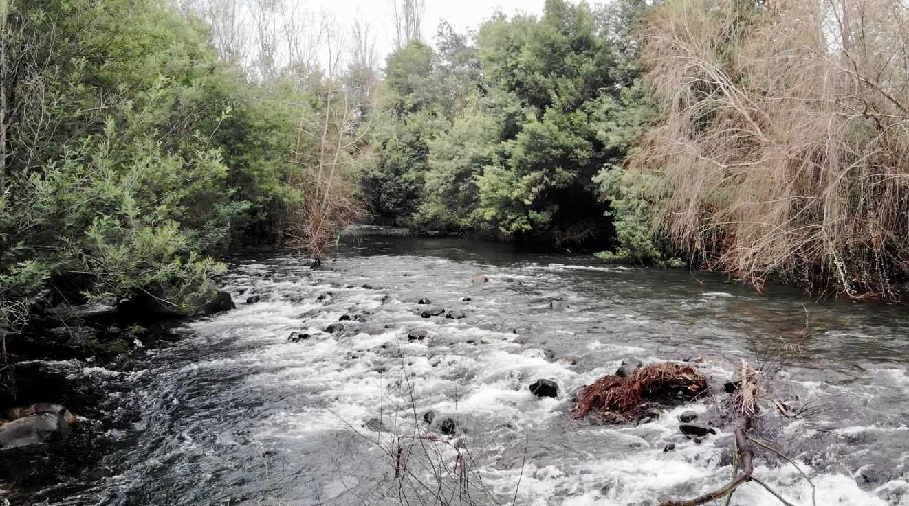 Venta Parcela Chillán - Ñuble