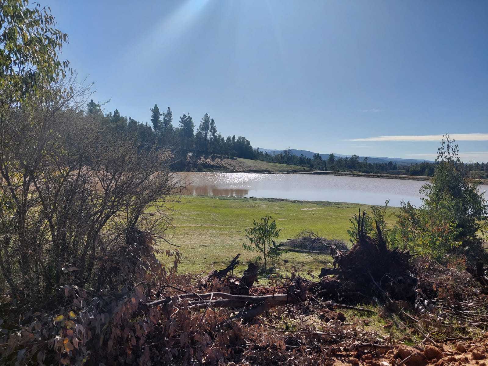 Venta Parcela Cauquenes - Maule