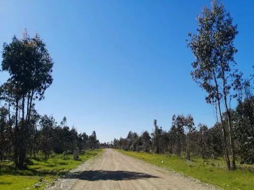 Venta Parcela Chillán - Ñuble