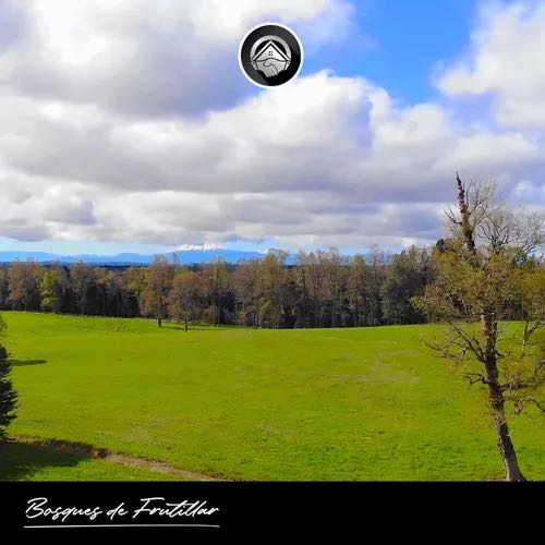 Venta Parcela Frutillar - Los Lagos