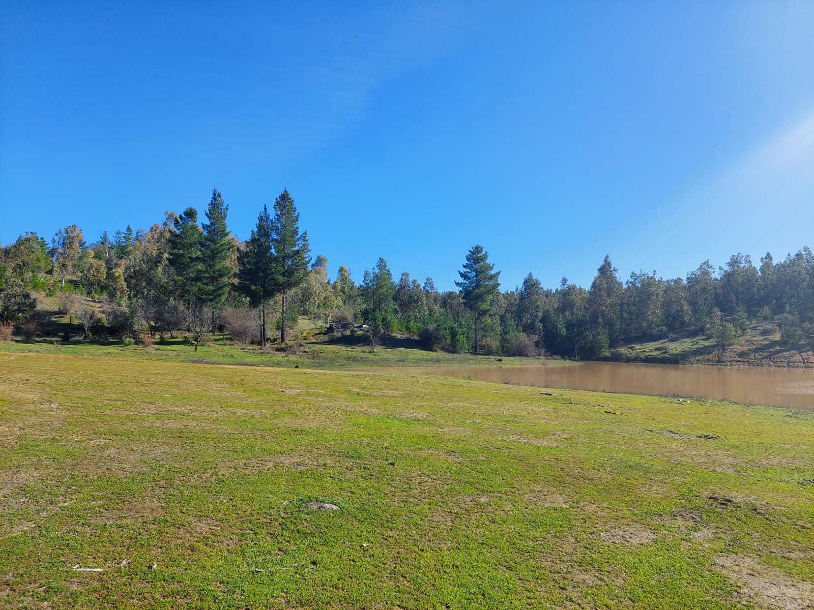 Venta Parcela Cauquenes - Maule