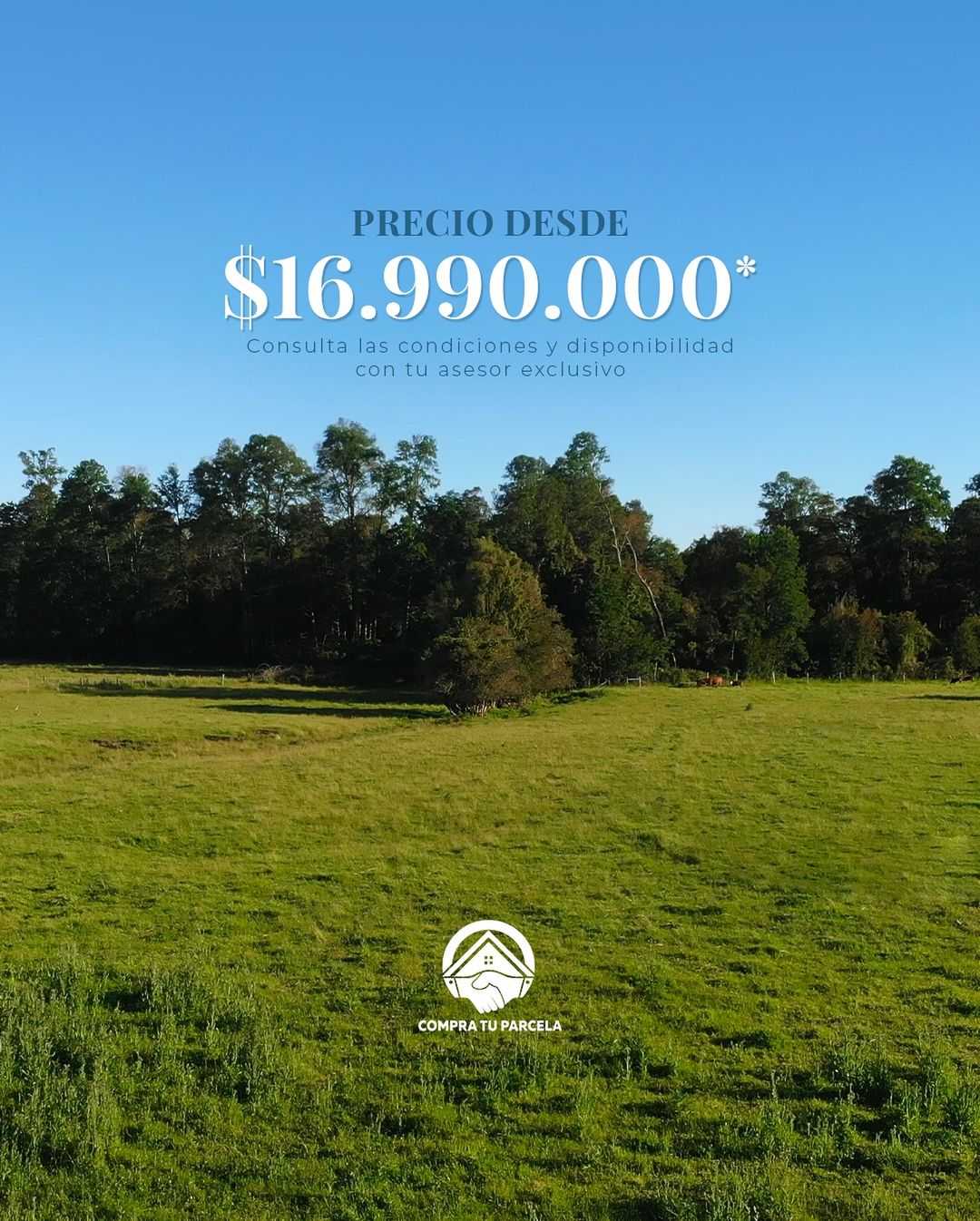 Venta Parcela Purranque - Los Lagos