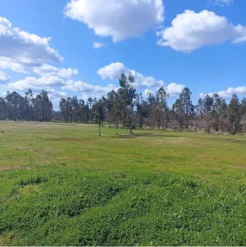 Venta Parcela Chillán - Ñuble
