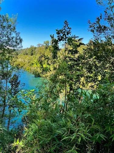 Venta Parcela Puyehue - Los Lagos