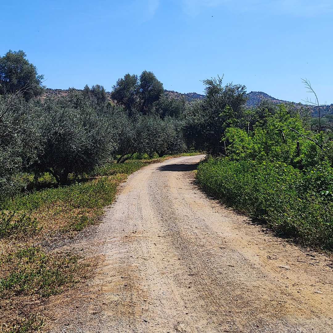 Venta Parcela Tiltil - Región Metropolitana