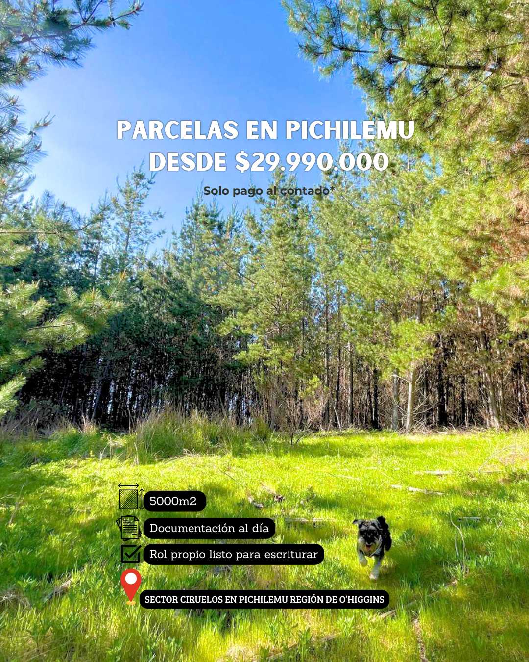 Venta Parcela Pichilemu - O'Higgins