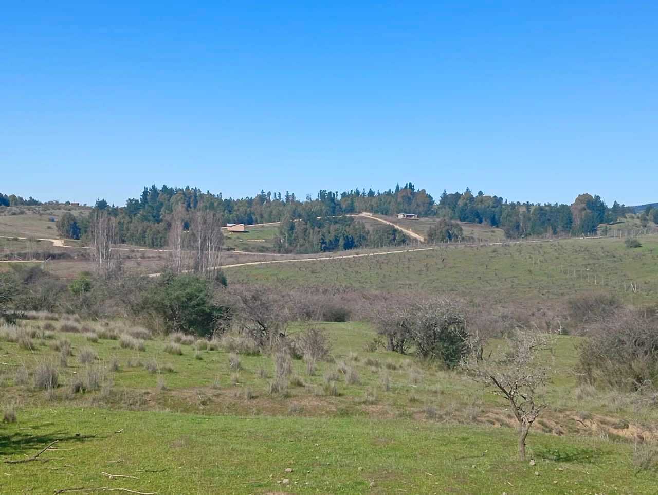 Venta Parcela Cauquenes - Maule