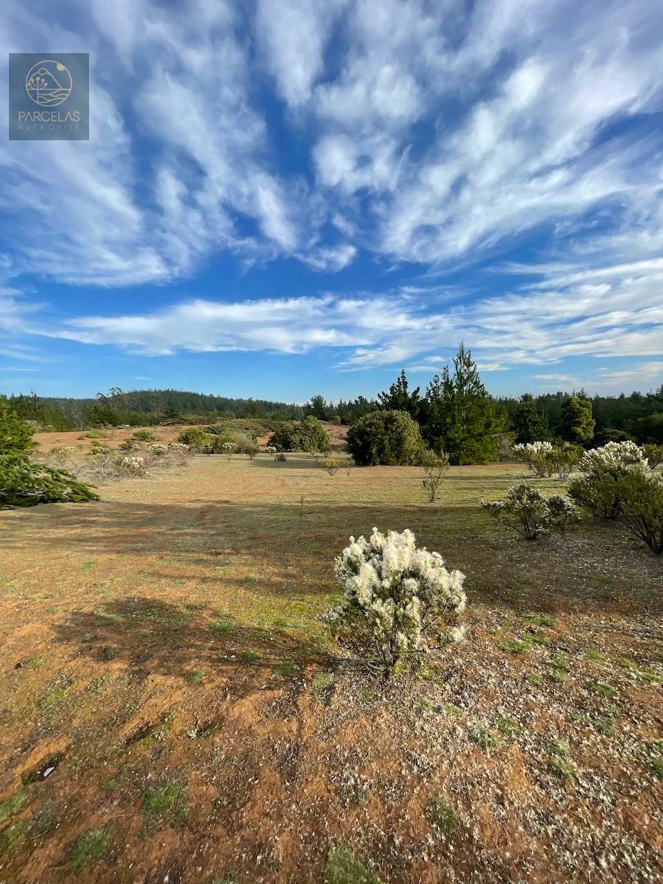 Venta Parcela Pichilemu - O'Higgins