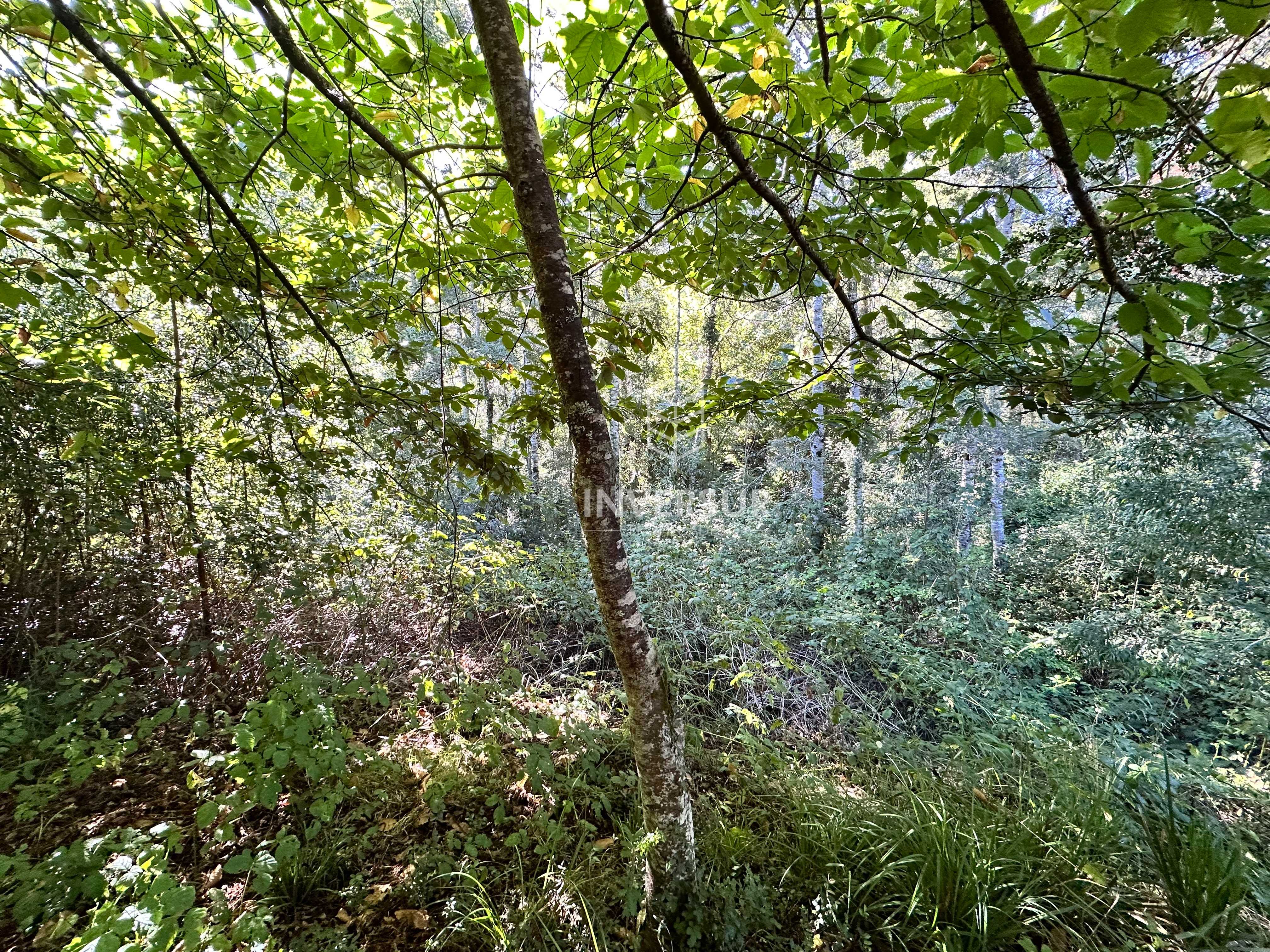 Venta Terreno Valdivia - Los Ríos