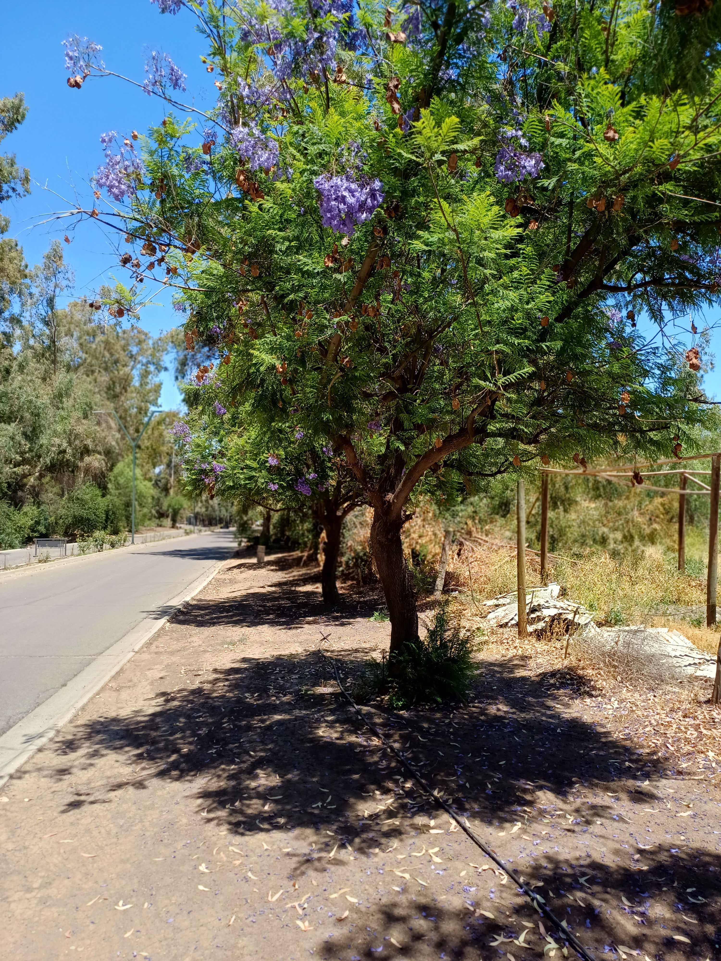 Venta Parcela Lo Barnechea - Región Metropolitana