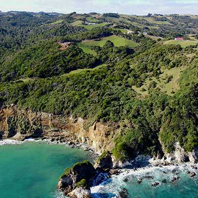 Venta Sitio Los Muermos - Los Lagos