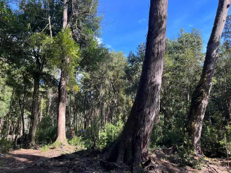 Venta Parcela Puerto Varas - Los Lagos