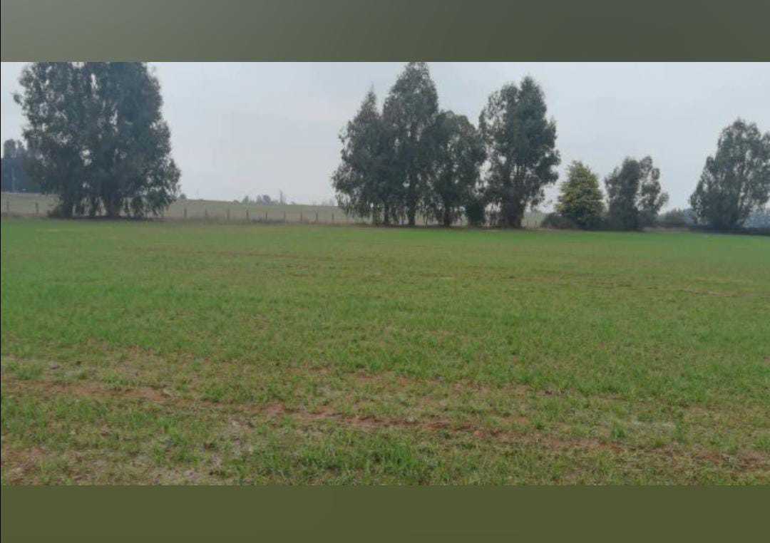 Venta Parcela Pemuco - Ñuble