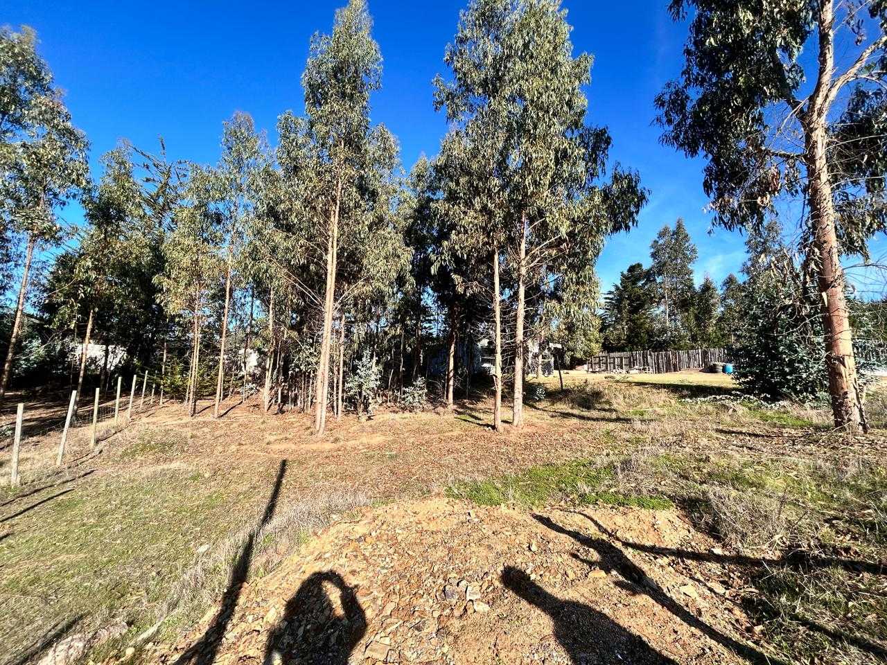 Venta Terreno Pichilemu - O'Higgins