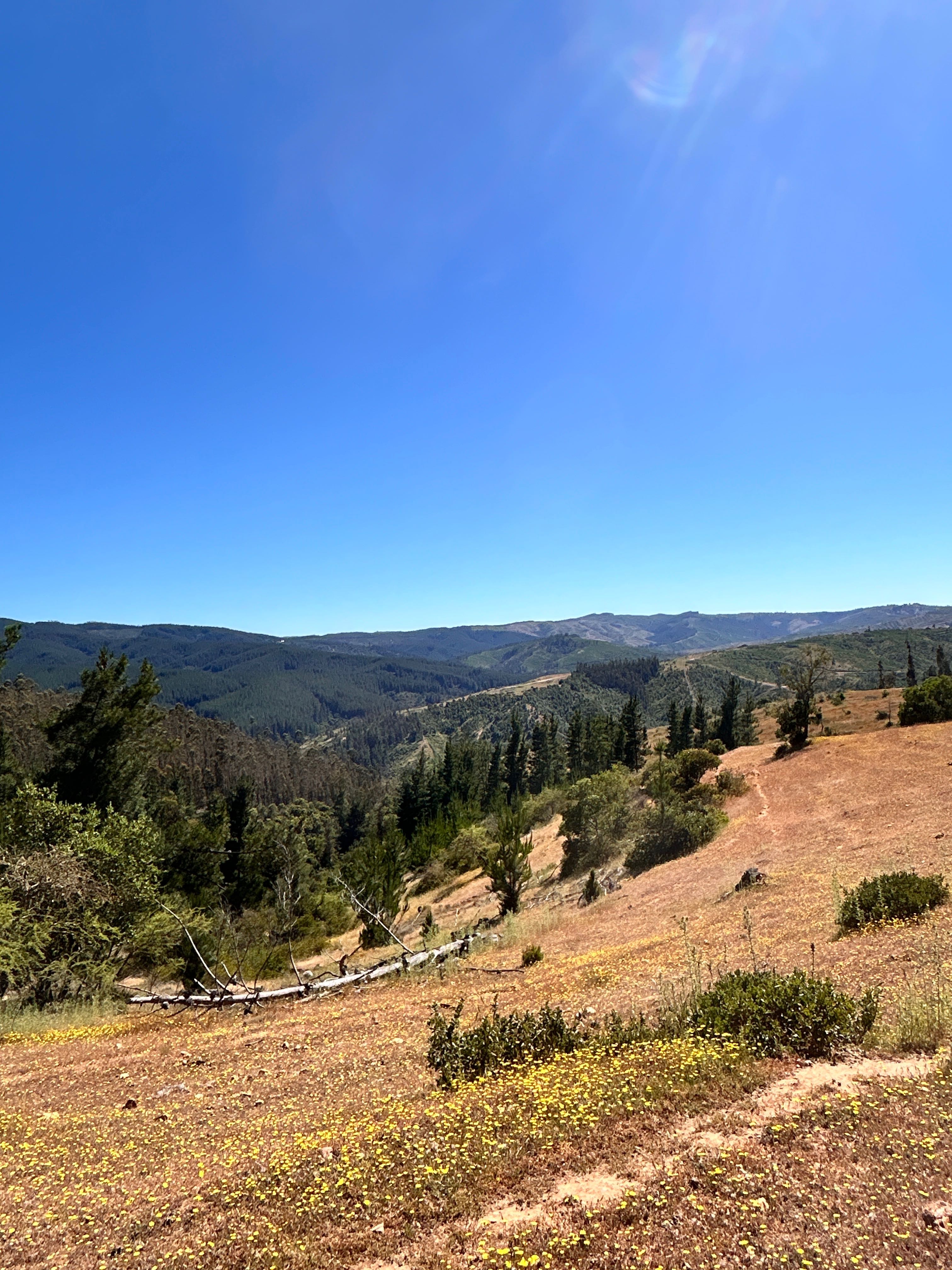 Venta Terreno Pichilemu - O'Higgins