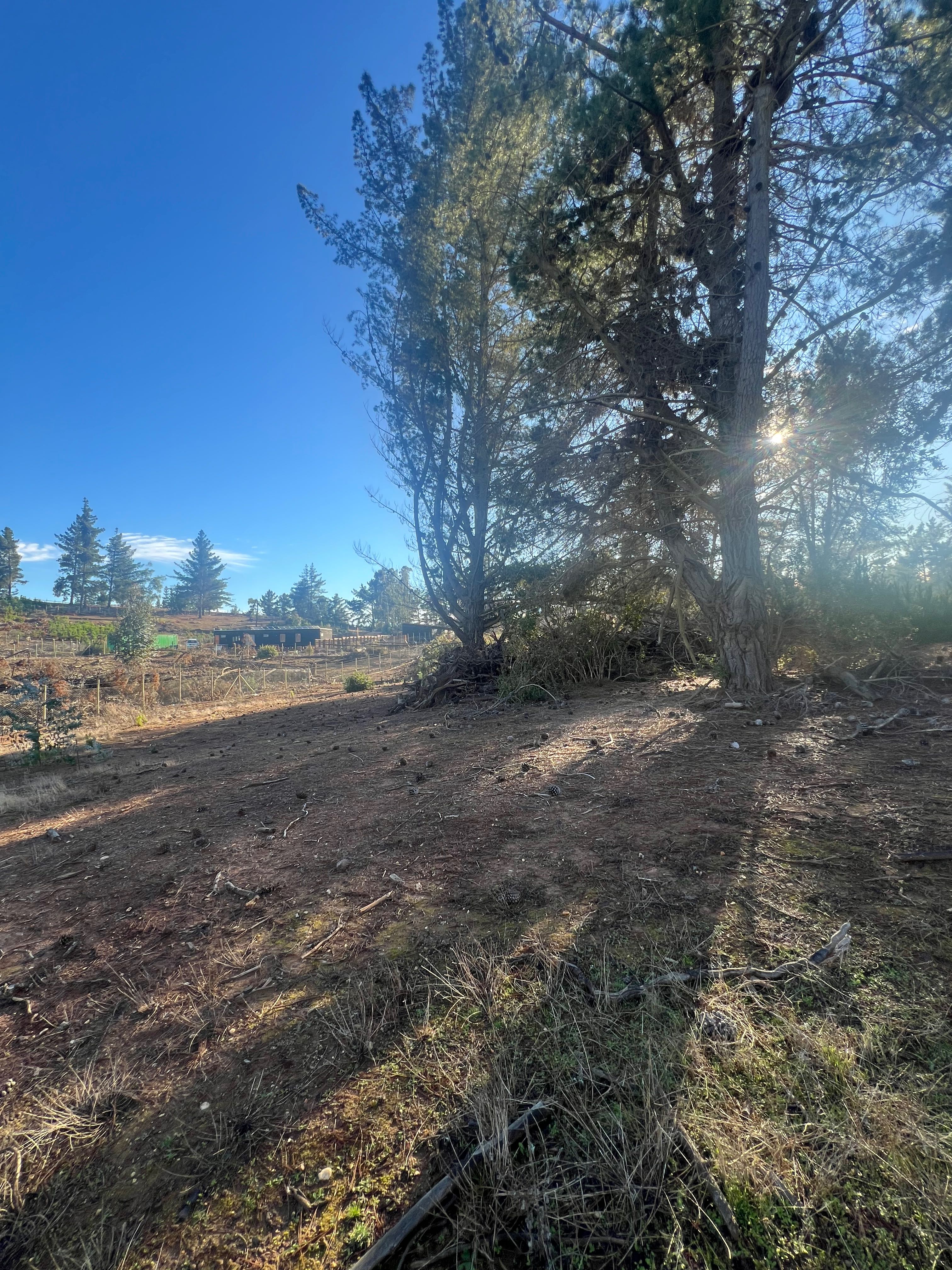 Venta Terreno Pichilemu - O'Higgins