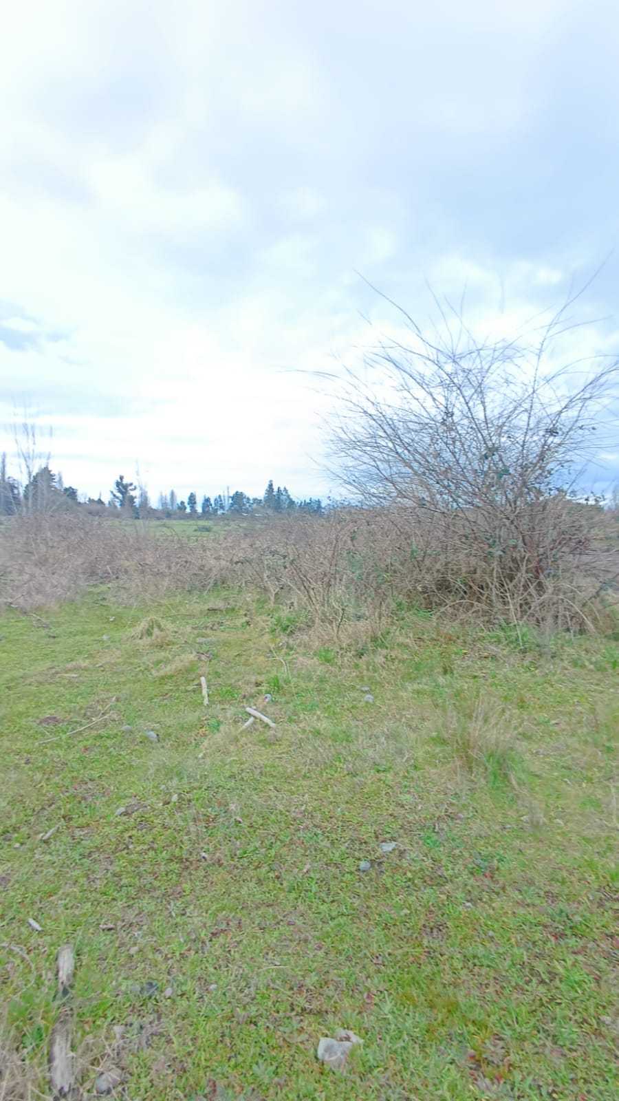 Venta Terreno Los Angeles - Biobío