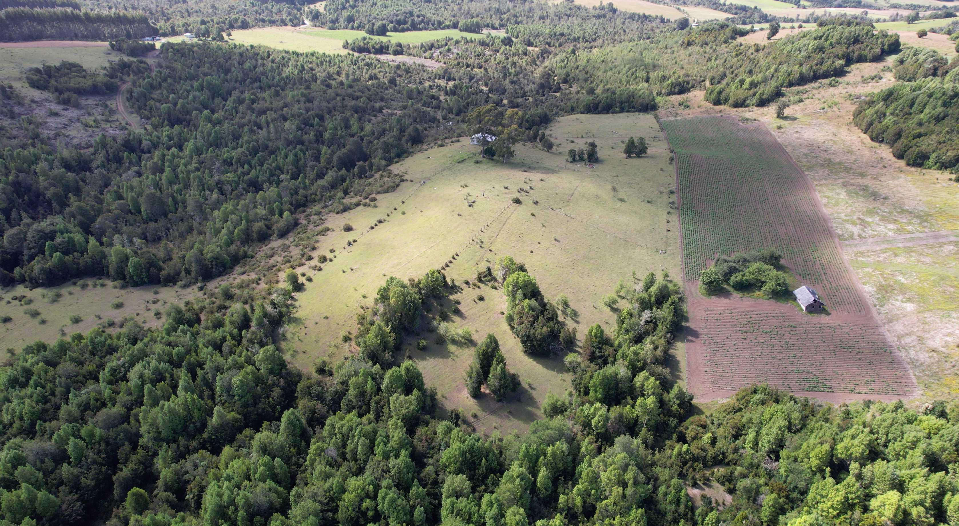 Venta Parcela Los Muermos - Los Lagos