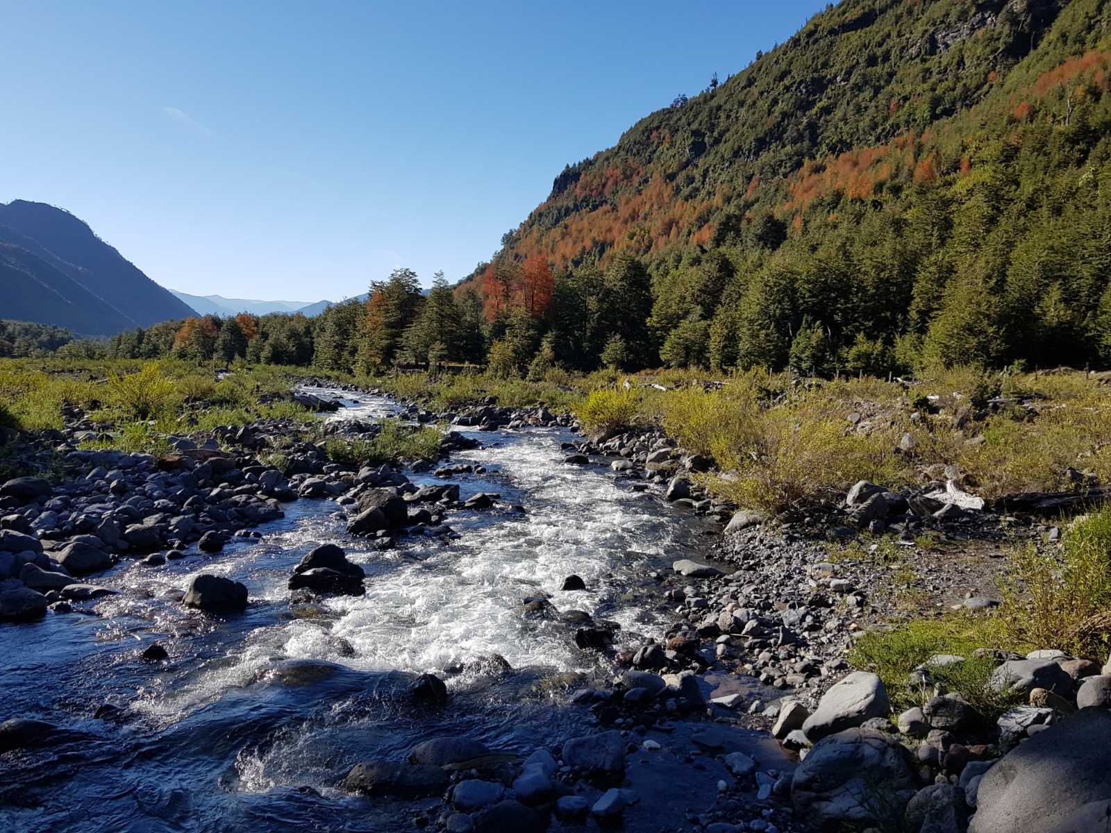 Venta Parcela Melipeuco - La Araucanía