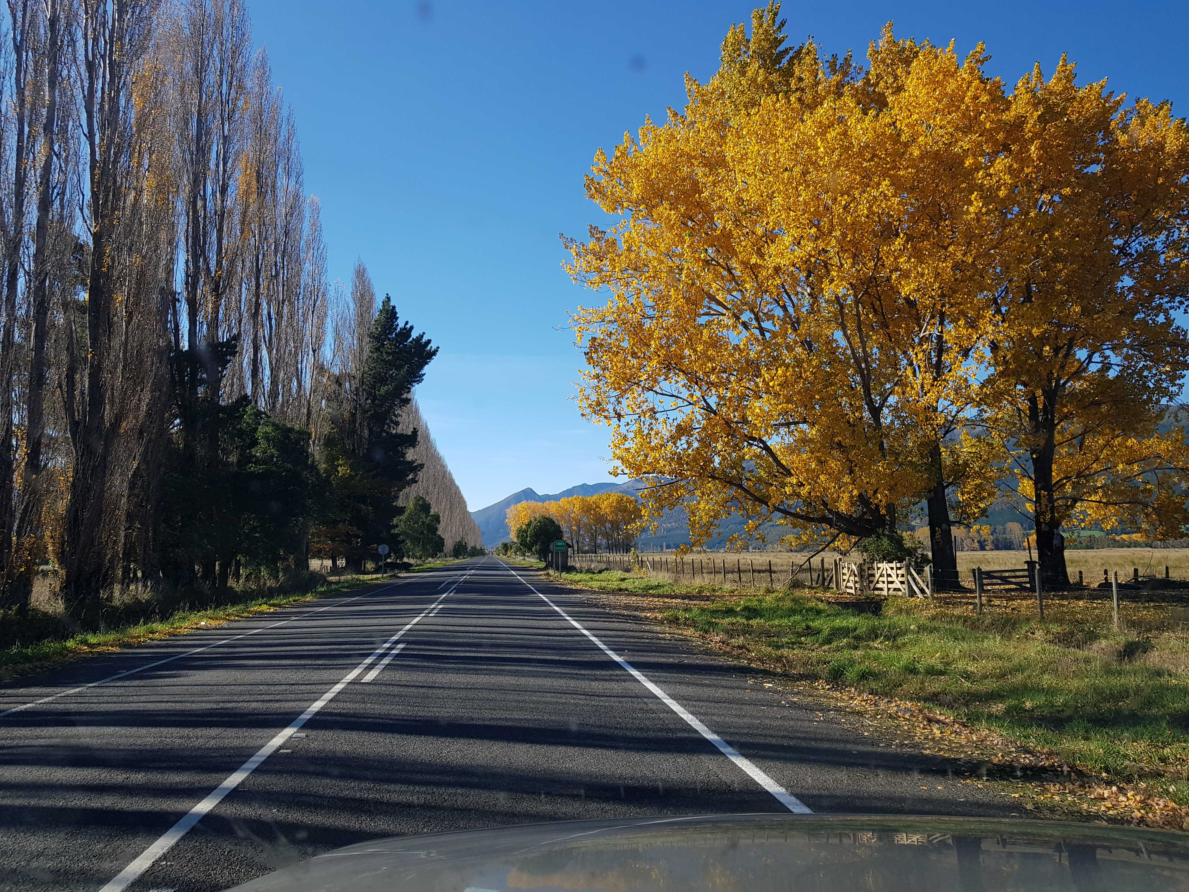 Venta Parcela Melipeuco - La Araucanía