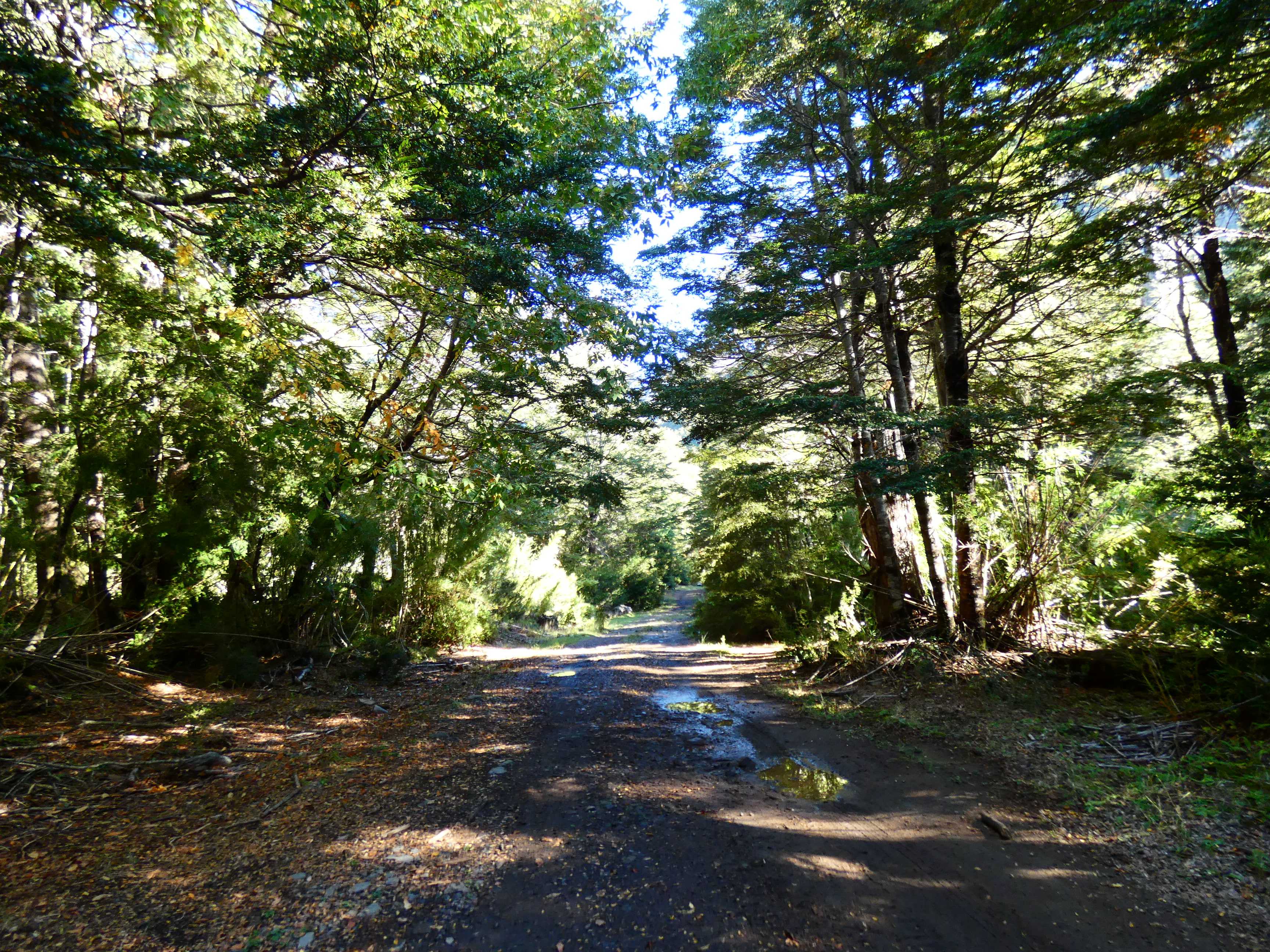 Venta Parcela Melipeuco - La Araucanía